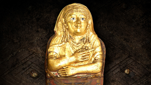 Golden Mummy photo