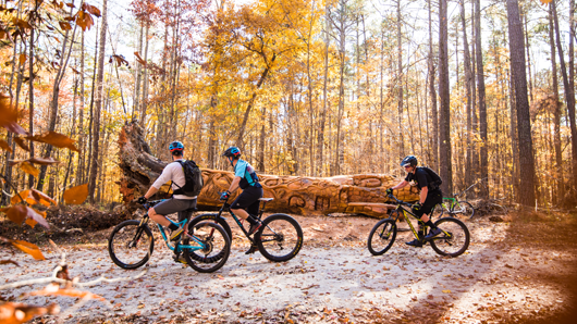 Bikers in front of the chainsaw tree art at Umstead State Park