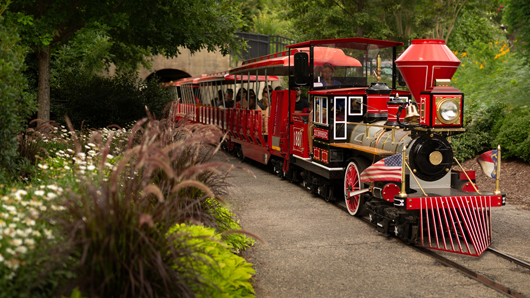 A red training rolling through Pullen Park