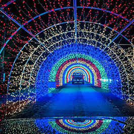 A colorful, seemingly-never-ending tunnel of holiday lights