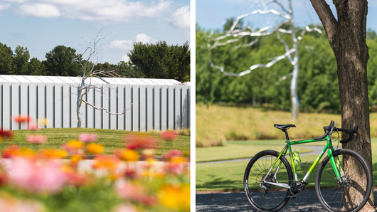 A photo of outdoor art at the North Carolina Museum of Art Park and a photo of a bike leaning on a tree at the park