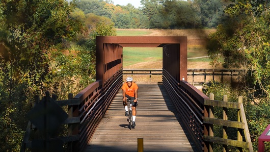 A cyclist in an orange shirt and while helmet crosses a wooden bridge headed towards the camera, with farm fields in the background and tall trees on left and right of bridge and camera