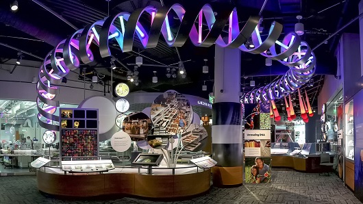 A technology-themed area of the North Carolina Museum of Natural Sciences, with interactive exhibits on the ground and neon lights running overhead