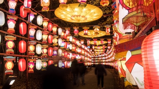  A tunnel of many Chinese lanterns, mostly red, yellow and white