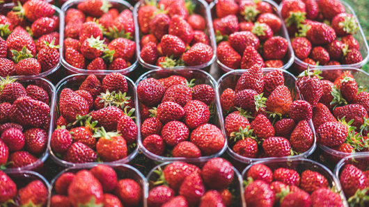 Cartons of bright red strawberries displayed for sale at a farmers' market