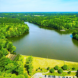 Vibrant aerial shot of a lake surrounding by acres of green trees on a sunny day