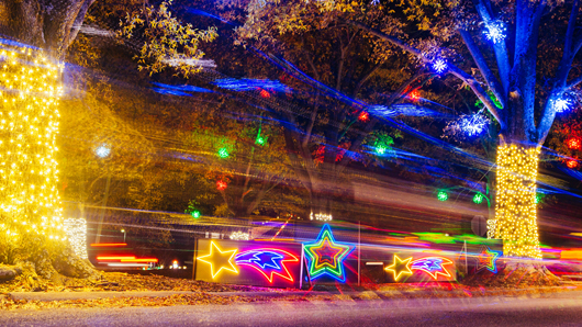 A slow-shutter photo of colorful light displays at Dorothea Dix Park, with trees wrapped in white holiday lights and other small stars and shapes lit up in various colors