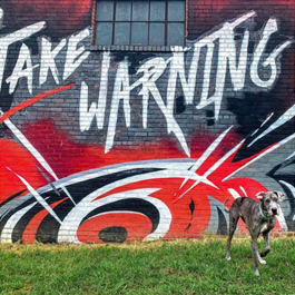 NHL Carolina Hurricanes mural that says Take Warning