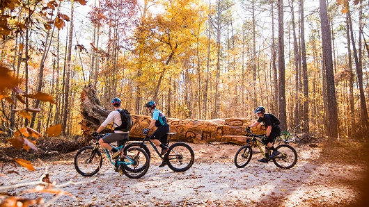 Trio of mountain bikers stop to admire chainsaw art made out of fallen oak tree; setting is William B. Umstead State Park in beautiful autumn colors