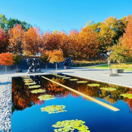 Fall foliage at a reflection pond surrounding by Rodin statues