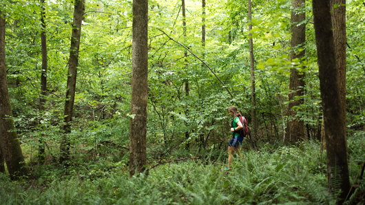 Woman hiking in a green, lush forest