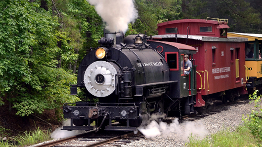 A small engine traveling down a track in the woods