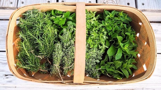 A woven basket full of green culinary herbs