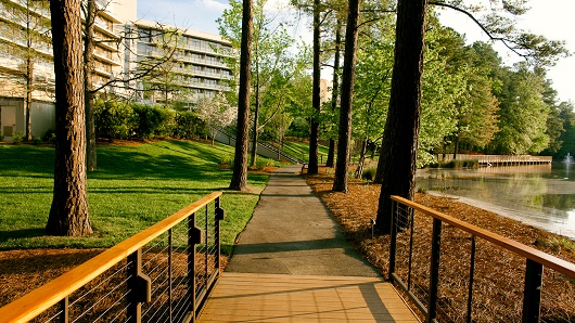 A small wooden bridge beneath a group of pine trees and a lake to the viewer's right; The Umstead Hotel is in the background and a paved walking trail in the foreground