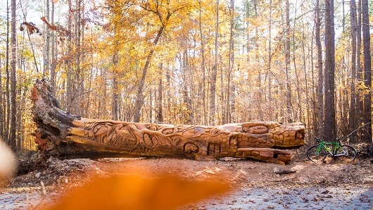 A fall-color photo of a giant piece of Chainsaw art, sitting trailside within Umstead State Park. Approximately 30 feet long and several feet high.